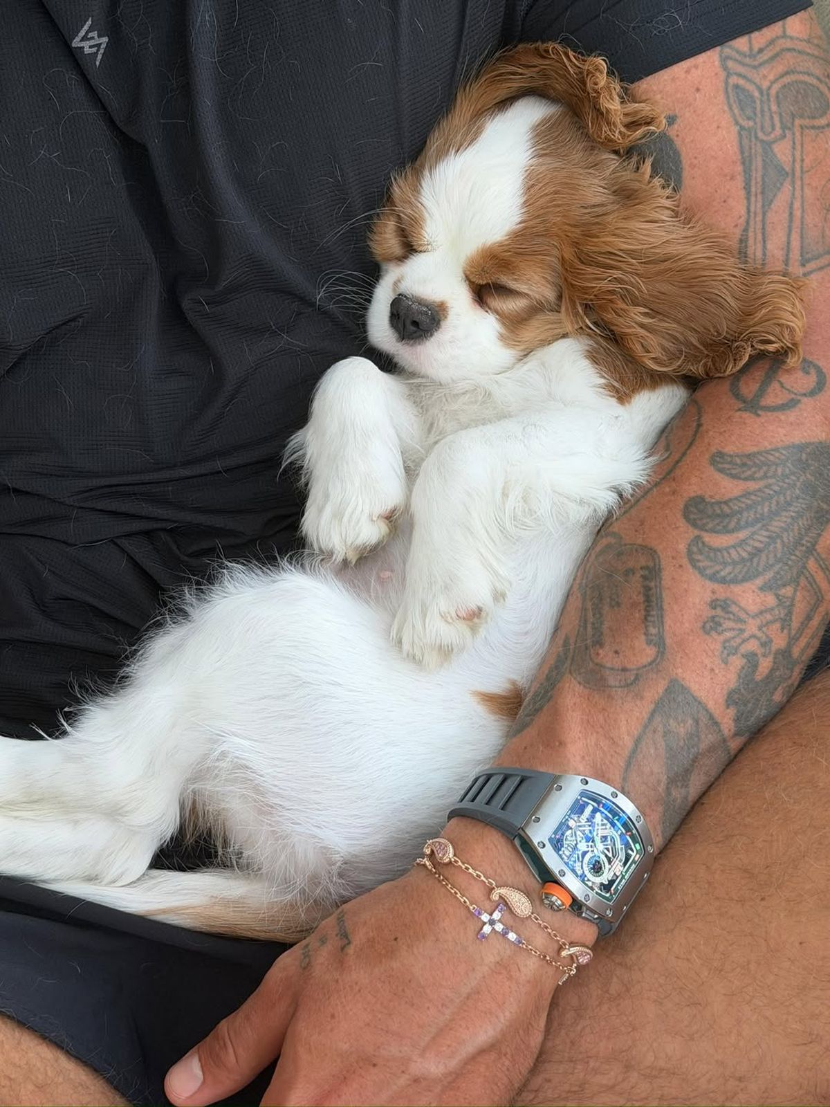 Aryna Sabalenka și-a numit noul câine după un legendar tenismen american: „Când îmi vine să izbucnesc, îl mângâi”