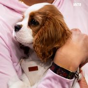 Aryna Sabalenka, alături de Ash, câinele ei/Foto: Instagram (WTA)