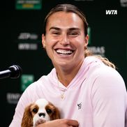 Aryna Sabalenka, alături de Ash, câinele ei/Foto: Instagram (WTA)