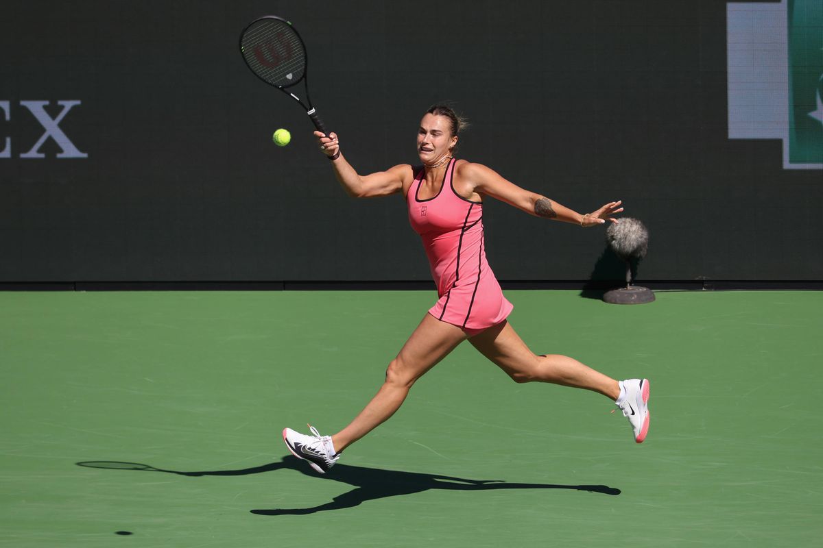 Aryna Sabalenka și-a numit noul câine după un legendar tenismen american: „Când îmi vine să izbucnesc, îl mângâi”