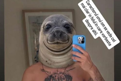 Imaginea postată de Virgil Drăghia pe contul de Instagram, ca răspuns la atacurile Dianei Șucu