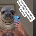 Imaginea postată de Virgil Drăghia pe contul de Instagram, ca răspuns la atacurile Dianei Șucu