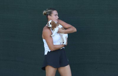 Aryna Sabalenka și-a numit noul câine după un legendar tenismen american: „Când îmi vine să izbucnesc, îl mângâi”
