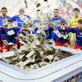 Avem datele oficiale despre bugetul CSA Steaua București // fotomontaj Diana Vasilescu