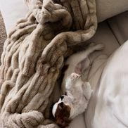 Aryna Sabalenka, alături de Ash, câinele ei/Foto: Instagram (Aryna Sabalenka)