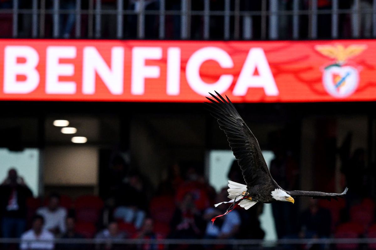 Benfica - Inter, în „sferturile” Ligii Campionilor / FOTO: GettyImages