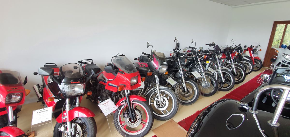 30.000 € pentru bijuteria Nadiei! A acceptat oferta, după ce îl refuzase și pe Ion Țiriac