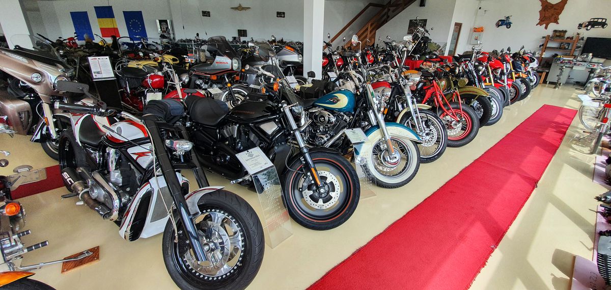 30.000 € pentru bijuteria Nadiei! A acceptat oferta, după ce îl refuzase și pe Ion Țiriac