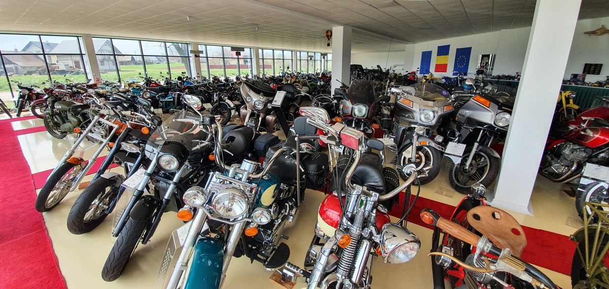 30.000 € pentru bijuteria Nadiei! A acceptat oferta, după ce îl refuzase și pe Ion Țiriac