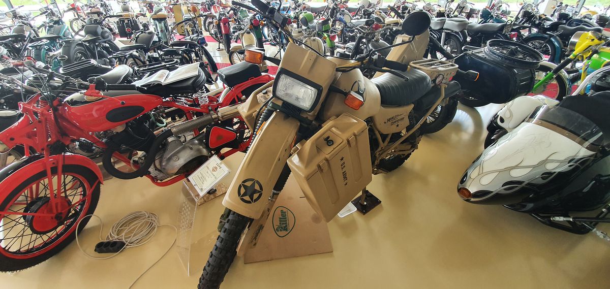 30.000 € pentru bijuteria Nadiei! A acceptat oferta, după ce îl refuzase și pe Ion Țiriac