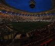Spectacol în pauza meciului FCSB - CFR Cluj // FOTO: GSP