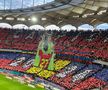 Scenografie spectaculoasă în FCSB - CFR Cluj