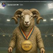 Ce a postat Daniel Bîrligea după ce FCSB a câștigat titlul / Foto. Instagram