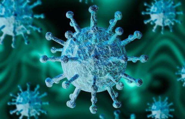 Primul caz de COVID-19 la Dinamo » Urmează o anchetă epidemiologică DSP!