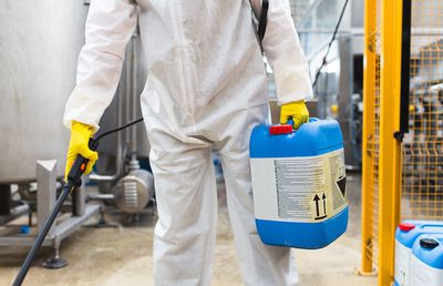 Dezinsecție ploșnite înainte de startul verii