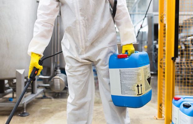 Dezinsecție ploșnite înainte de startul verii