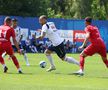 Amical România - CS Tunari. Foto: FRF