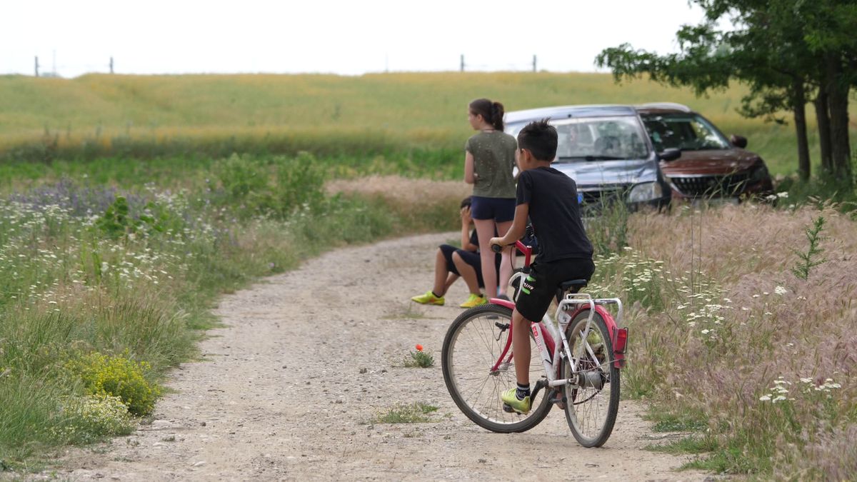 Speranța Plumbuita - Unirea Frăsinet L5 Calarasi