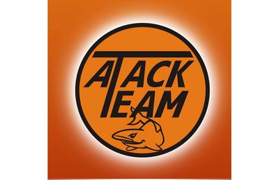 Cursuri înot la un club recunoscut oficial de Guvernul României