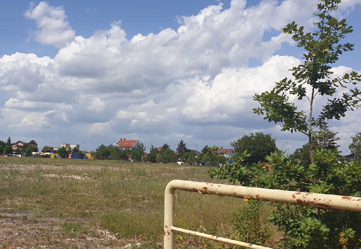 Pradă caniculei și buruienilor! Stadionul istoric al României a ajuns o pajiște de nerecunoscut! Imagini-horror