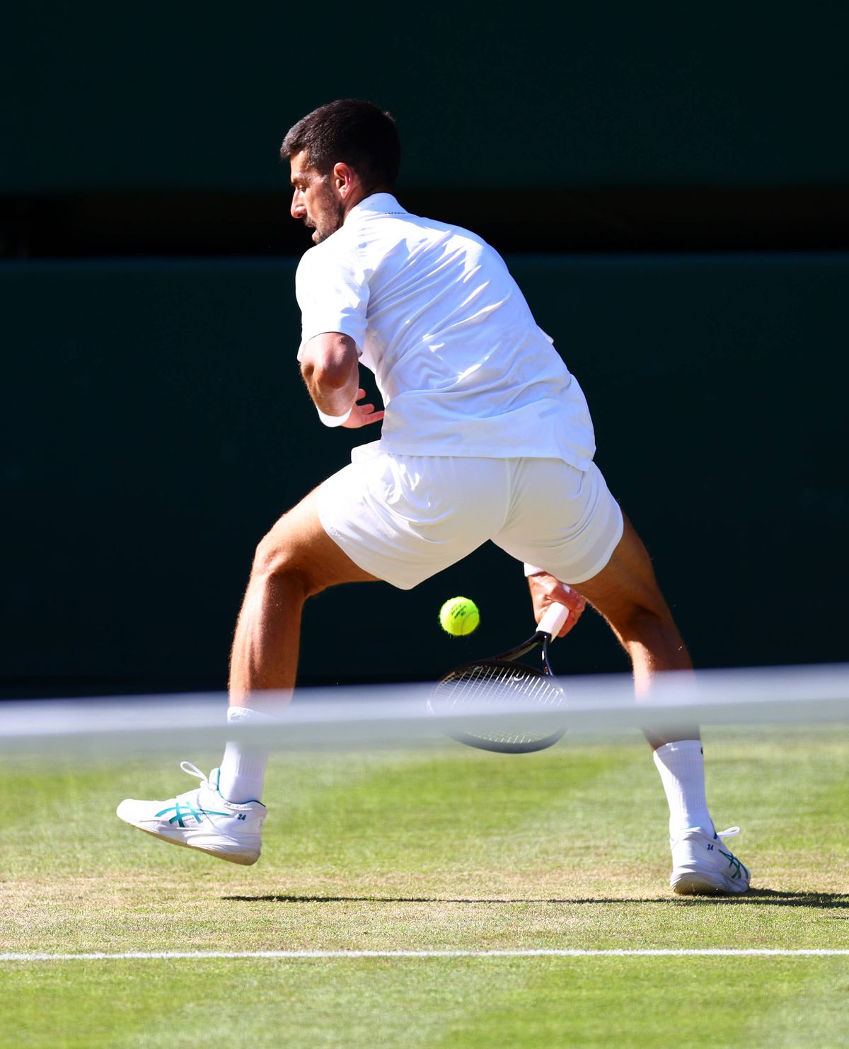 Jannik Sinner - Novak Djokovic, semifinală Wimbledon 2025