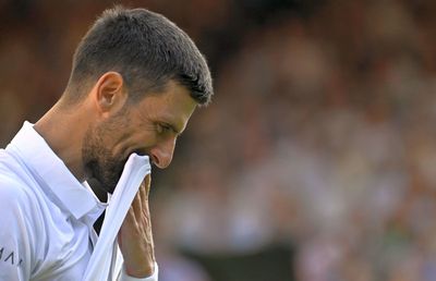 Novak Djokovic, în genunchi după semifinala cu Sinner: „Realitatea m-a lovit și îmi este greu să accept asta”