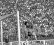 Povestea ultimului derby Rapid - Steaua din comunism: „S-au bătut parte-n parte cu Miliția. S-a jucat până a câștigat cine trebuia!”