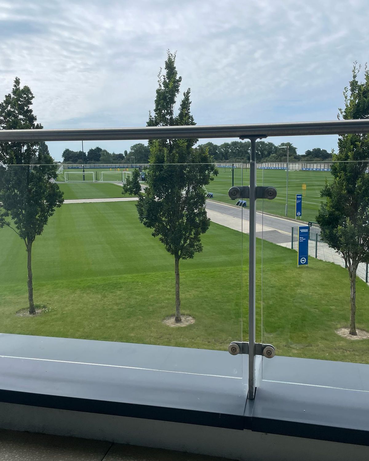 Edi Iordănescu, în cantonamentul lui De Zerbi la Brighton