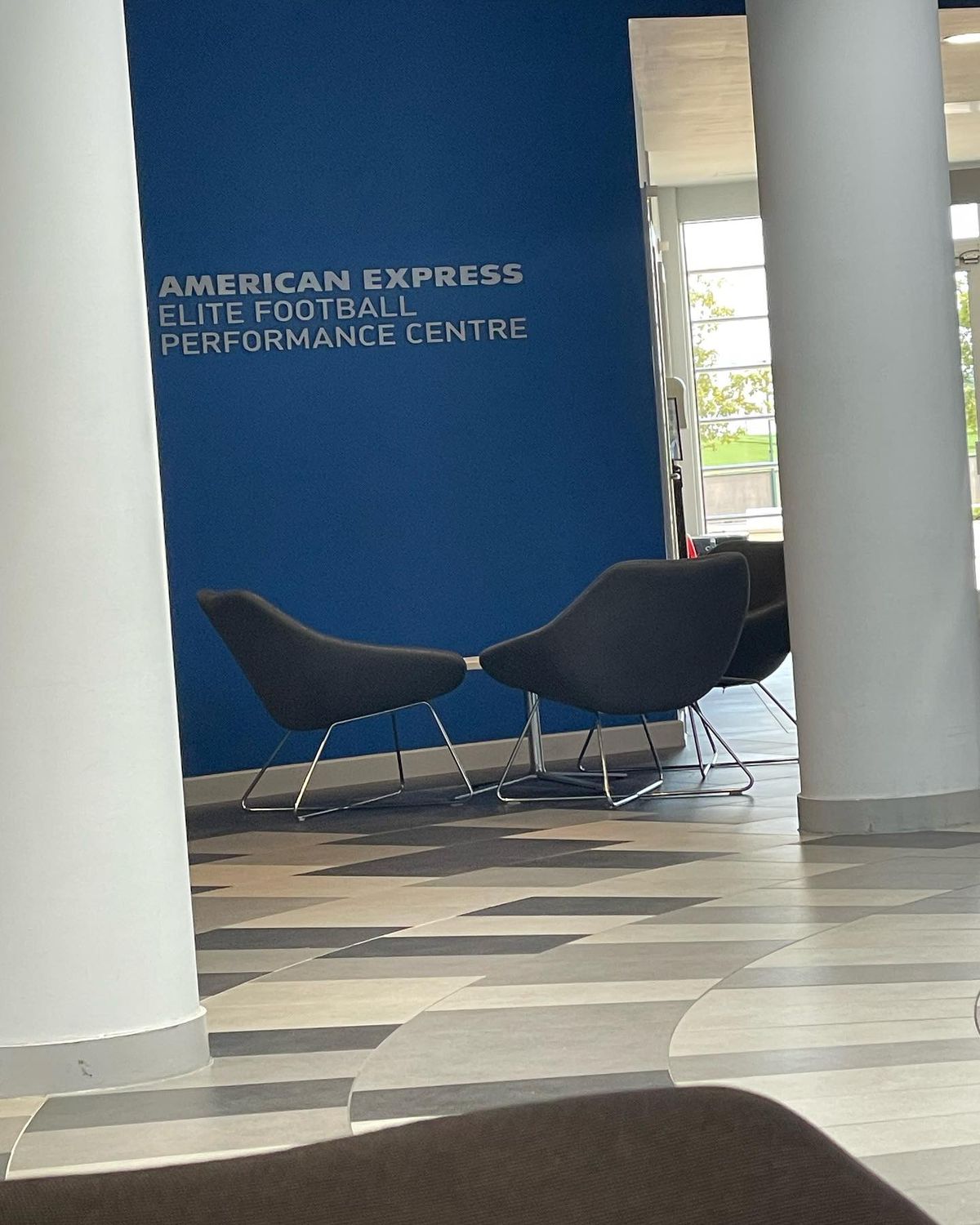 Edi Iordănescu, în cantonamentul lui De Zerbi la Brighton