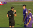 Fază controversată de arbitraj în FC Botoșani - FC Argeș. FOTO: captură Prima Sport