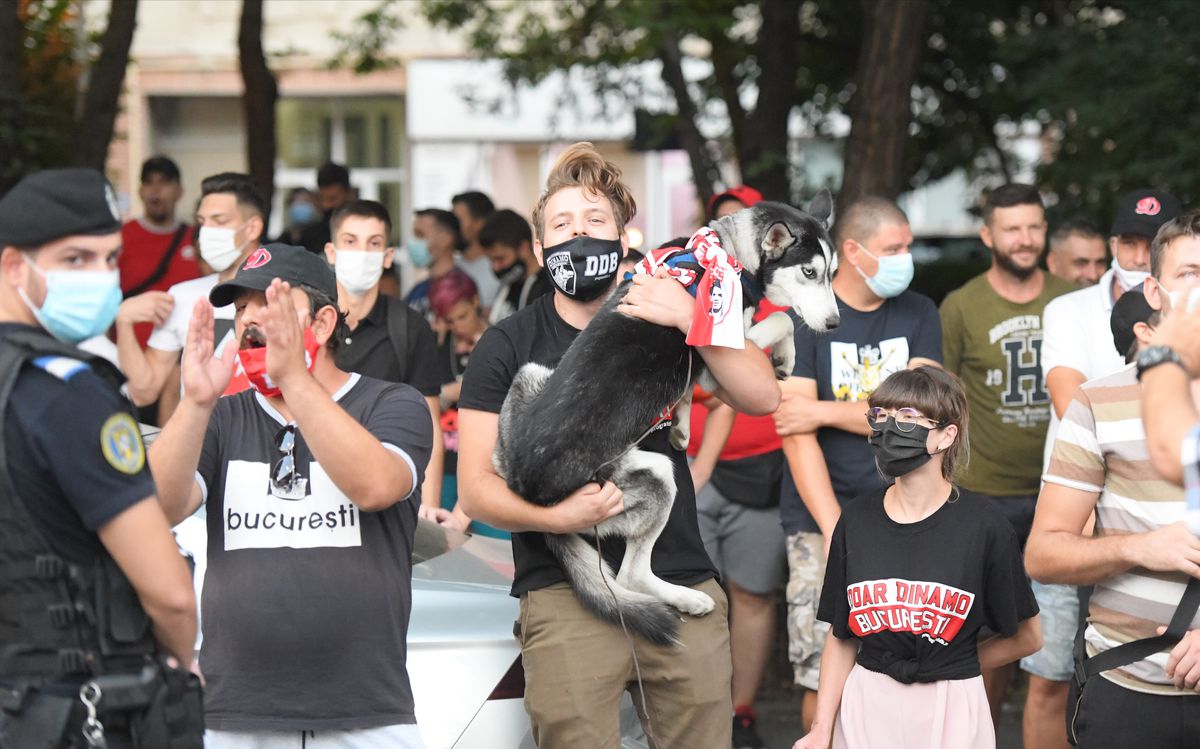 DINAMO - FC BOTOȘANI 1-1 // Dinamo, fără victorie după 3 etape! „Câinii” au obținut un punct cu Botoșani după supergolul lui Borja Valle