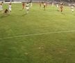 FOTO FC Botoșani - CFR Cluj, fault Culio la Ongenda