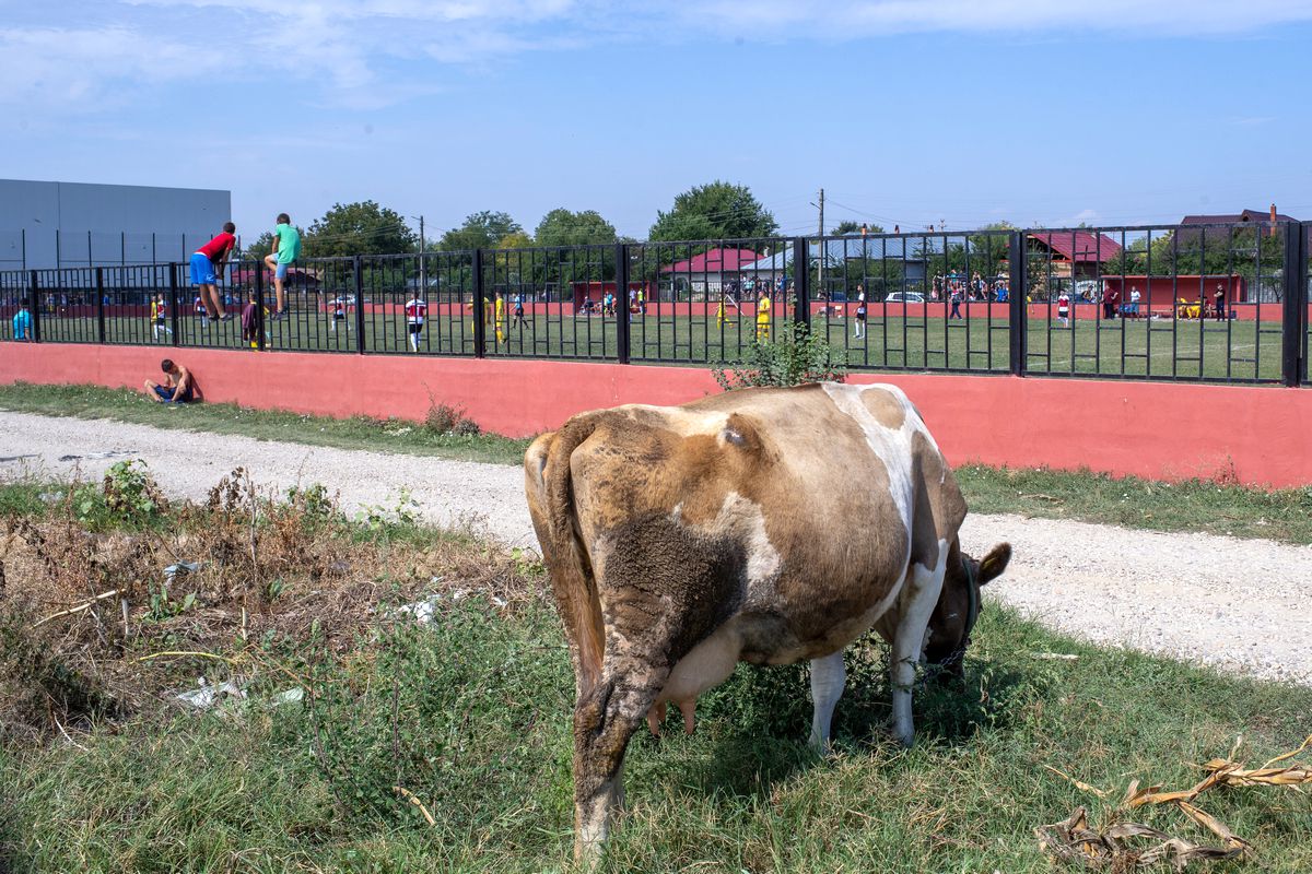 Despre fotbal, criză economică și educație sexuală la Orbeasca - Botoroaga: „Nu mi-e frică de niciun război!” + „Noi ținem și cu Steaua, și cu FCSB”
