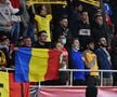 Victor Pițurcă temperează elanul „tricolorilor”: „Trebuie să spun și adevărul”