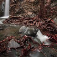 Cascada Millomeris FOTO: Ionuț Iordache (GSP)