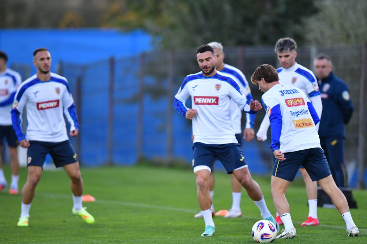 Imagini de la antrenamentul oficial al României înainte de meciul cu Austria / Foto: Cristi Preda (GSP)