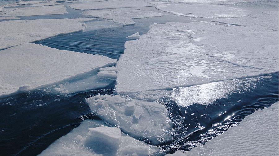 Schimbările climatice și impactul acestora asupra comunităților, principalele subiecte discutate de ziua Internațională a Științei