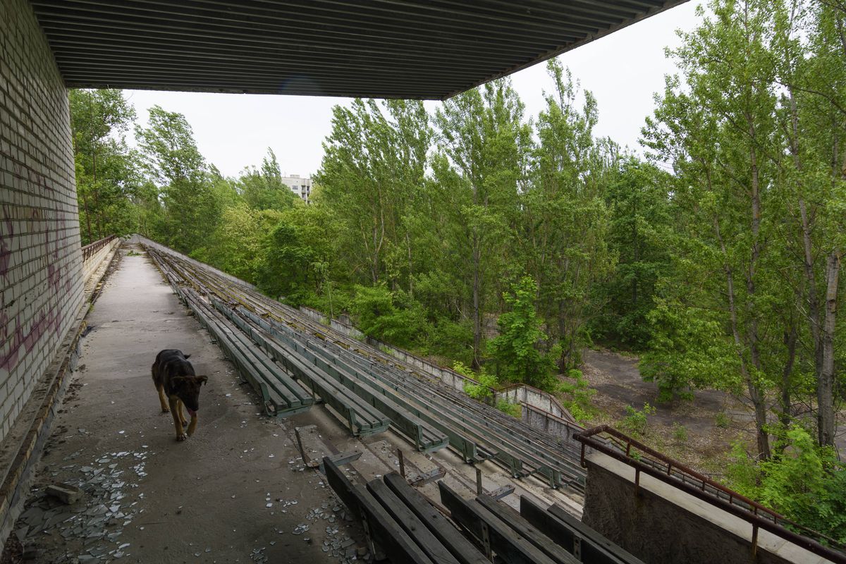 Stadionul Avanhard din Pripyat, Ucraina