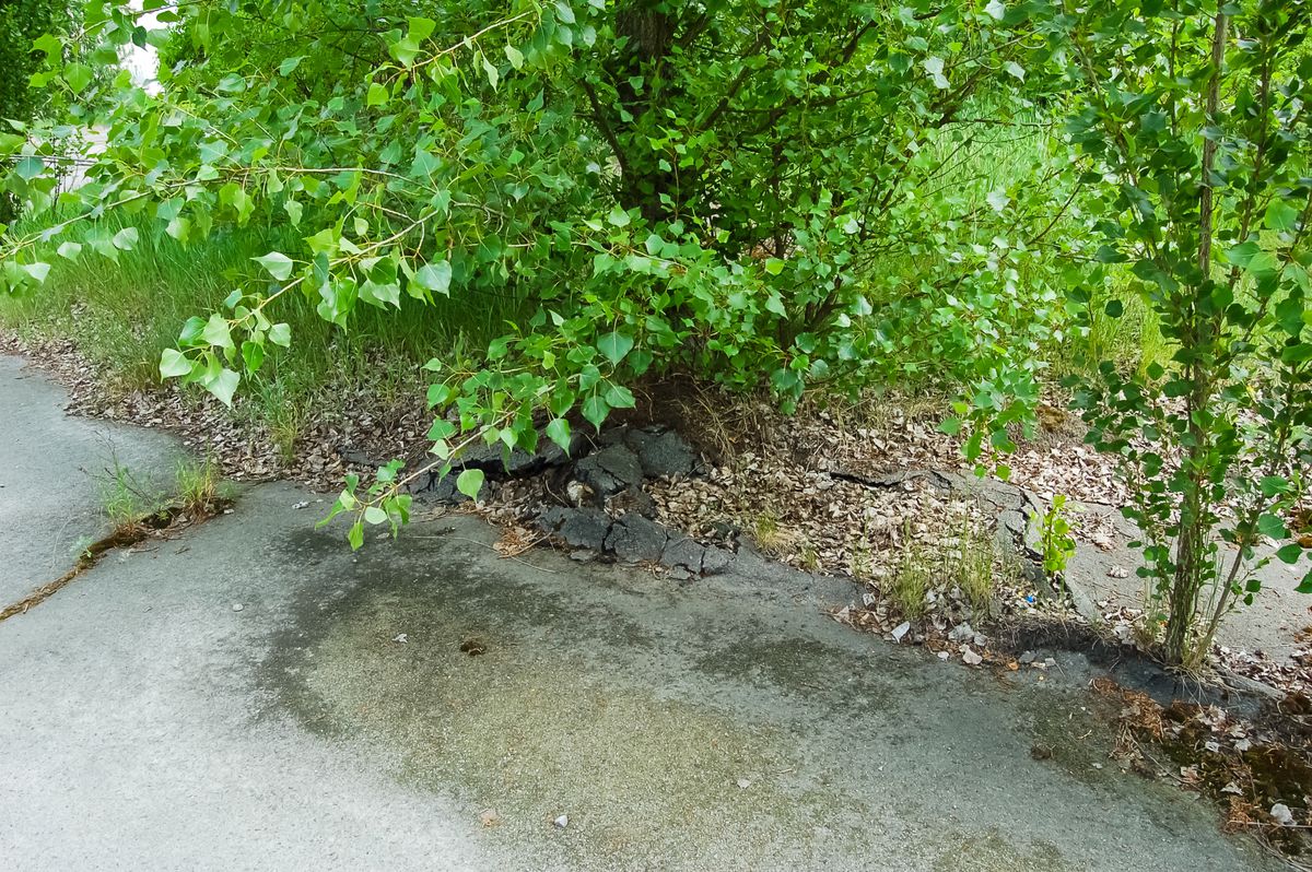 Explozie la centrala de la Cernobîl! La câțiva kilometri distanță, stadionul din Pripyat arată ca într-un film de groază