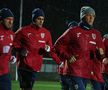 România pregătește ultimele două partide din Liga Națiunilor / foto: FRF.ro