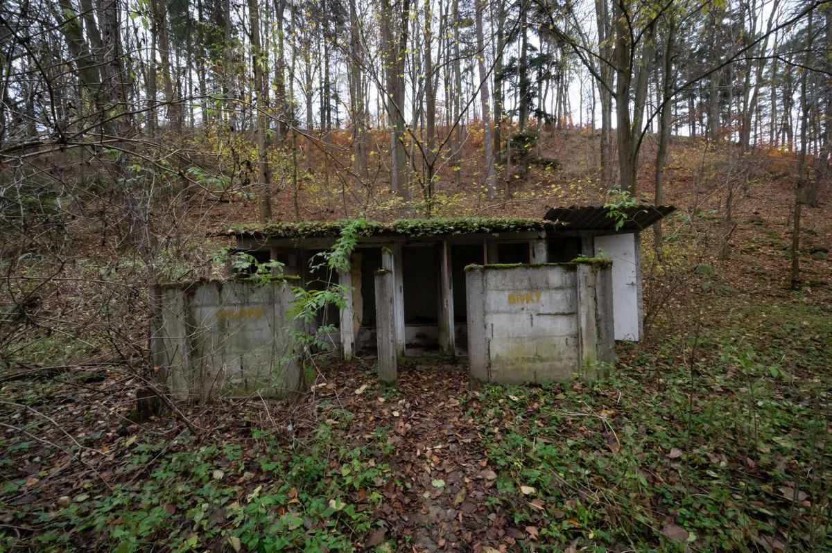 Stadionul din Pripyat, de lângă Cernobîl, arată într-un mod incredibil: ce a crescut în locul gazonului, la 38 de ani de la dezastru