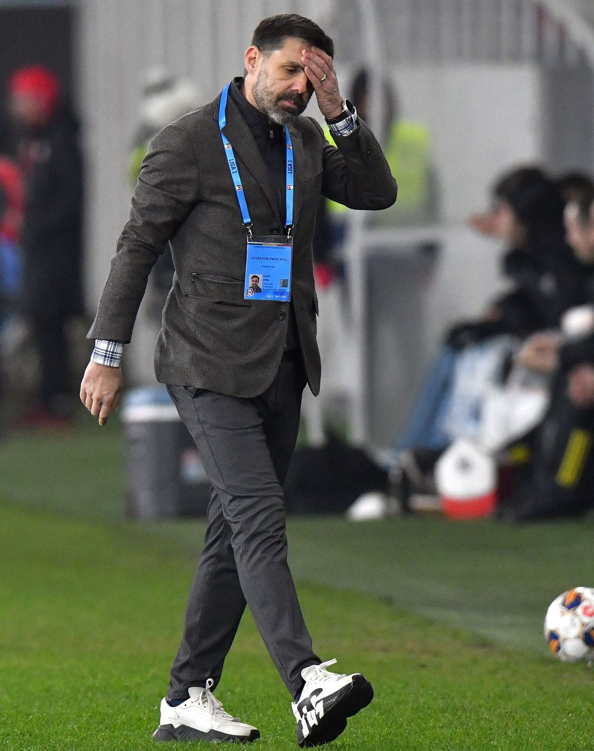 Dinamo - U Cluj, etapa 19 Superligă