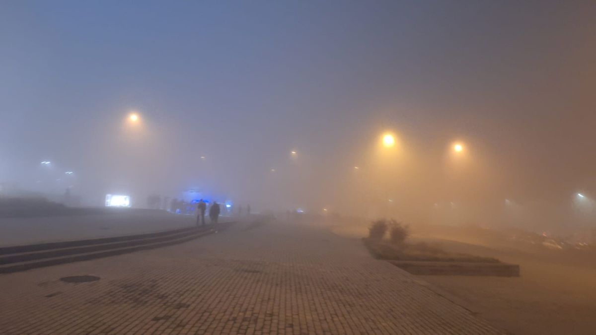 Craiova - Sparta Praga, înainte de meci