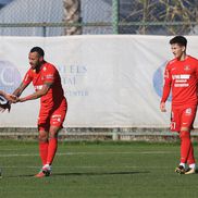 Imagini de la meciul Hermannstadt - FK Napredak Kruševac FOTO: Ionuț Iordache (GSP)