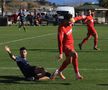 Imagini de la meciul Hermannstadt - FK Napredak Kruševac FOTO: Ionuț Iordache (GSP)