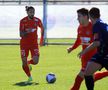 Imagini de la meciul Hermannstadt - FK Napredak Kruševac FOTO: Ionuț Iordache (GSP)