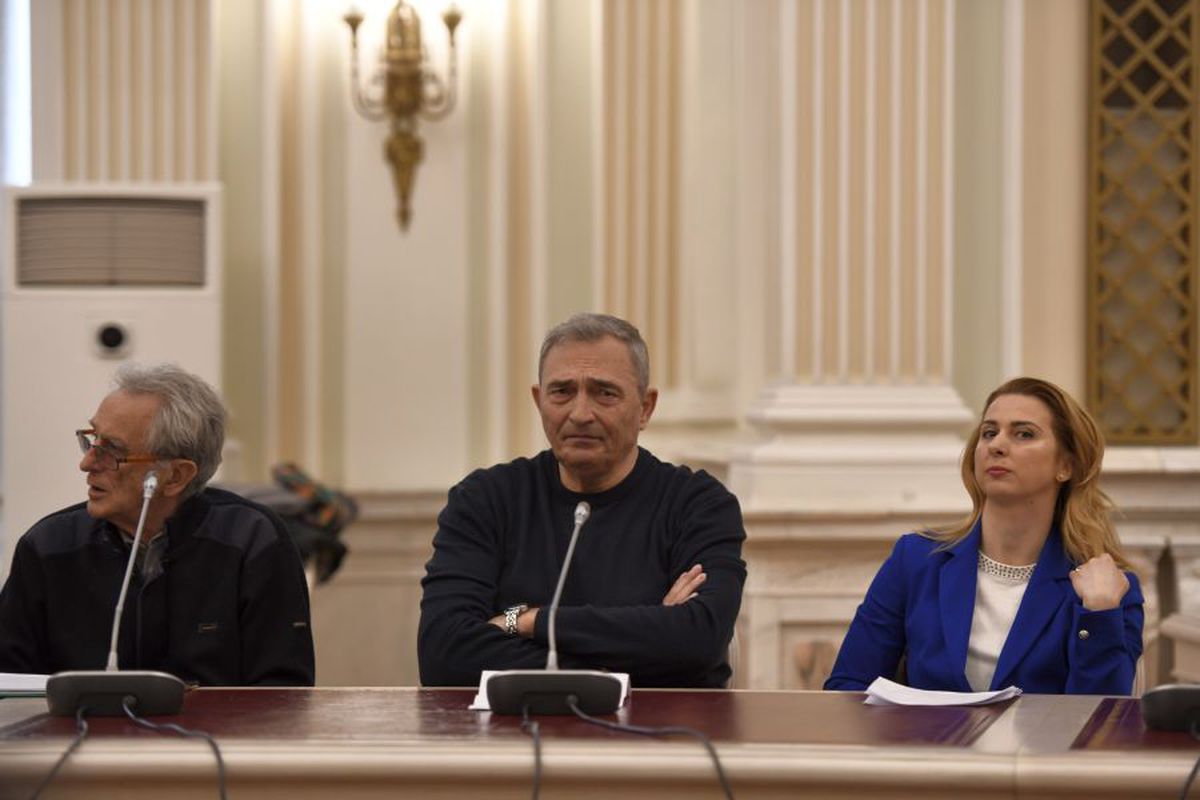 VIDEO Alina Dumitru recunoaște: „Am fost pe punctul de a pleca din țară, voiam să fac performanță cu alții”