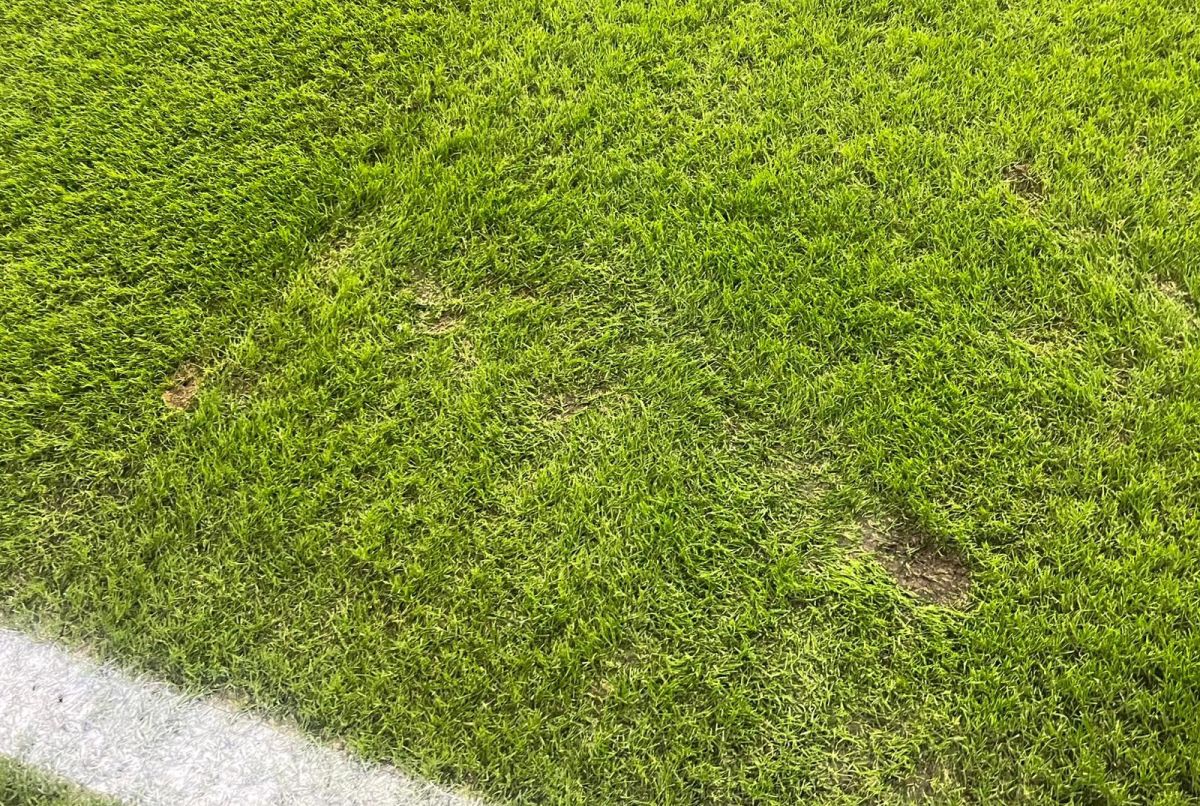 CS Universitatea Craiova - FCSB: imagini de la stadion, înainte de meci