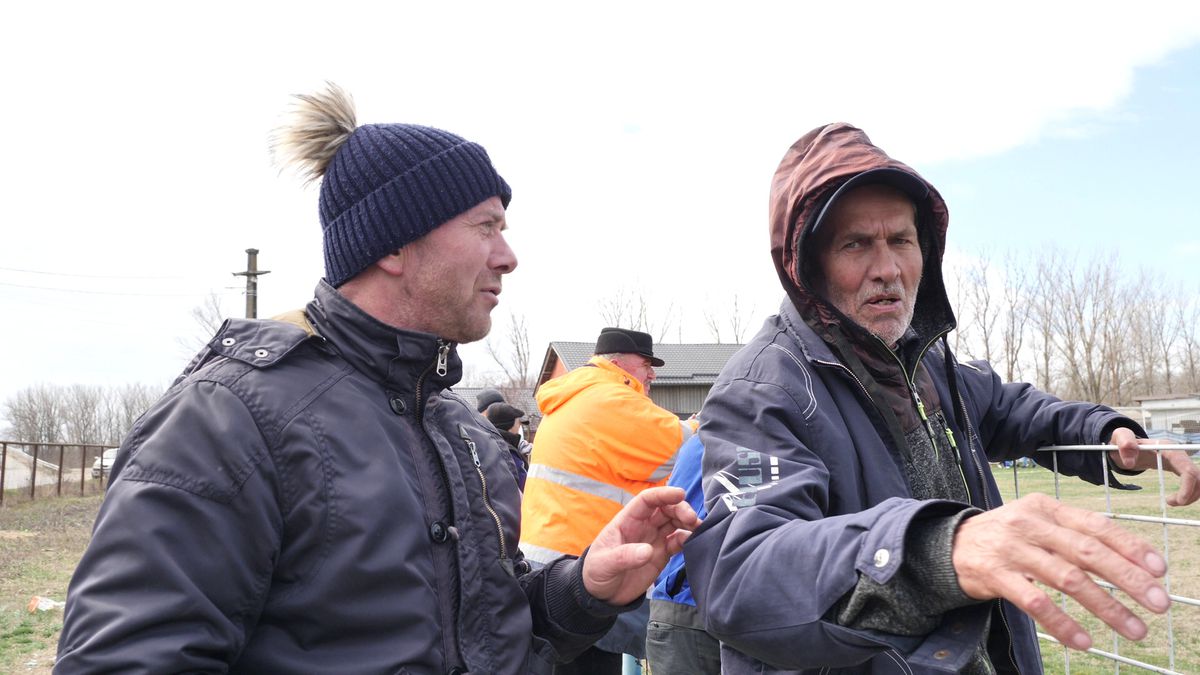 Familia lui Valentin Mihăilă are o echipă în liga a cincea din Dâmbovița » Buffon cu muștar și grataragiul Nelu: „De aici nu pleacă nimeni nepăcălit!”