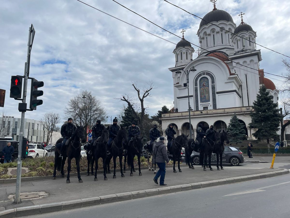 Dinamo - Poli Timișoara, meci